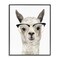 Stupell Industries Farm Animal Llama In Glasses Black Framed Giclee Art